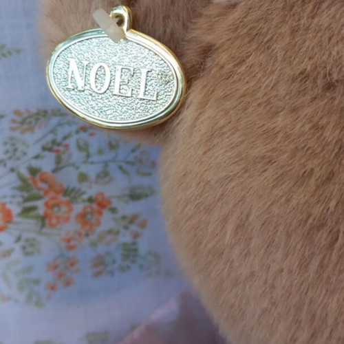 Noel Talking Bear Parlamama like new, 57 cm, 80s vintage