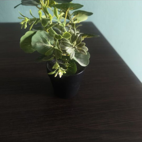 Fake plants like new, set of 2