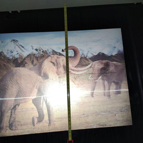 3D Decorative Wall Art with African Elephants Effect 39x29cm like new