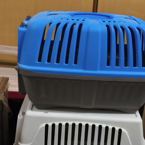 Cat or small dog transport carrier