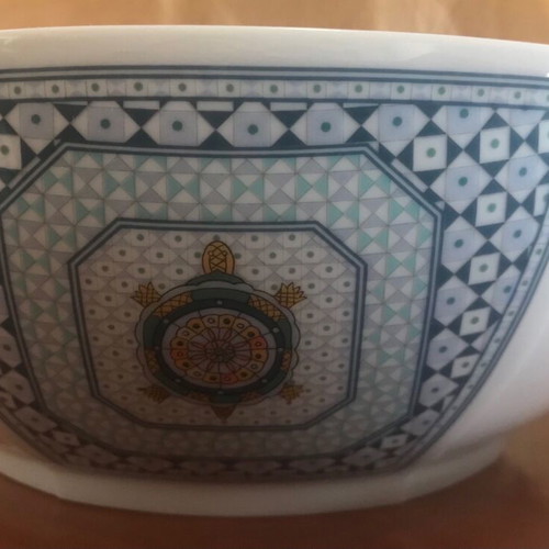 Bernardaud Limoges France Galapagos set like new with porcelain plates and cups