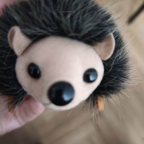 Hedgehog plush toy used