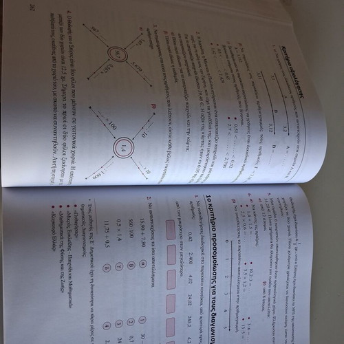 Savvalas Mathematics Grade 5 textbook like new