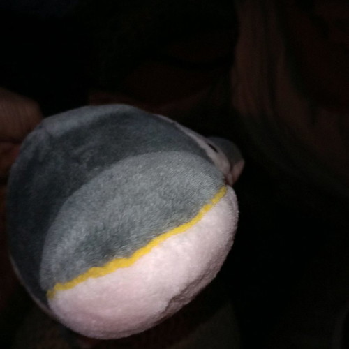Plush dolphin new, can be used as a pillow