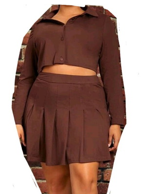 Brown skirt and blouse set