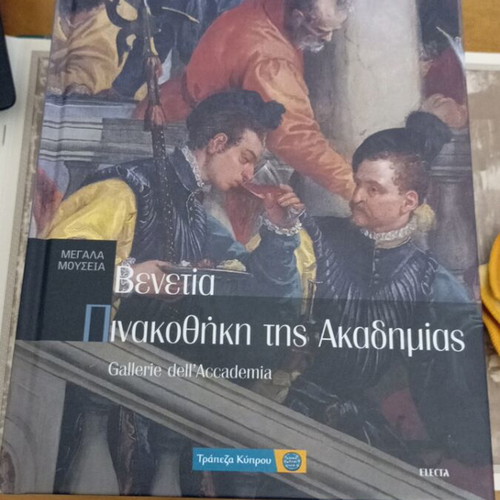 Venice Gallerie dell'Accademia book like new, art history