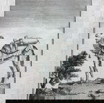  1790 Χαλκογραφία καμήλας από εμπορικό καραβάνι τόσο αρχαίας εποχής όσο και μοντέρνας εποχής 34x27cm