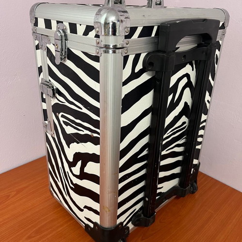 Storage case with extension used