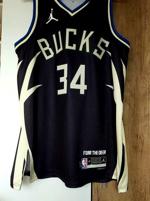 Giannis Antetokounmpo Jordan All-Star HWC Swingman Jersey new, size L