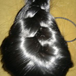 Synthetic braid new