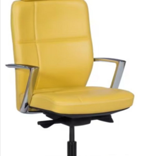 Ergoaction Sahara Executive Office Chair leather yellow new