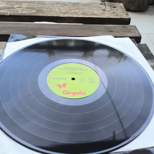 Exotic Birds and Fruit used vinyl 1974 Greek rock