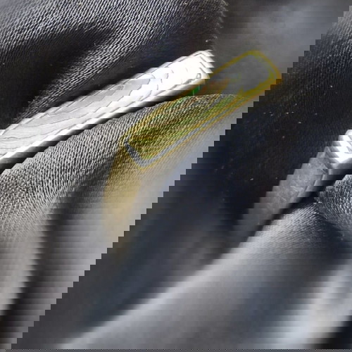 Сребърен пръстен с морски седеф използван, 3гр, 18мм