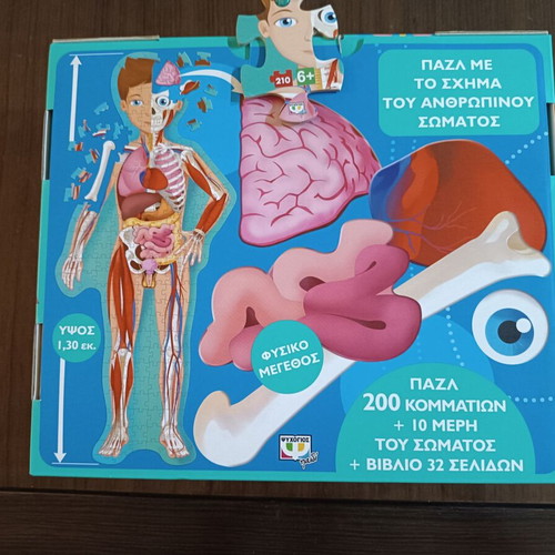 Learning and Exploring the Human Body Puzzle new