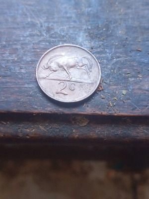 South Africa 1974 2 cent coin used