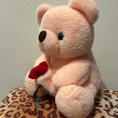 Pink teddy bear new with red rose