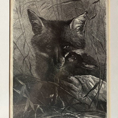 Rare Authentic Wood Engraving "The Fox and the Duck" 1872 Like New with Frame