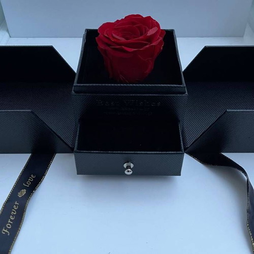 Forever Rose red with jewelry case in luxury box new