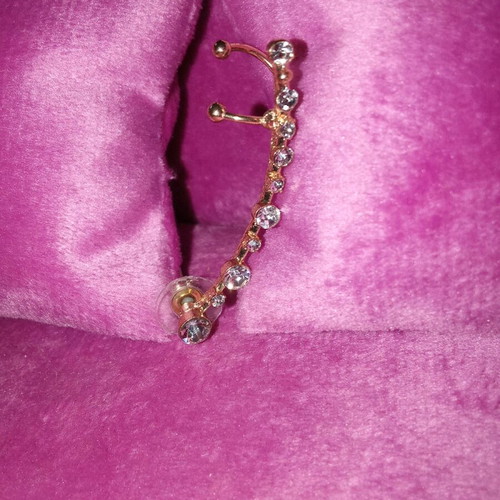 Earring for left ear new, designed to climb along the lobe