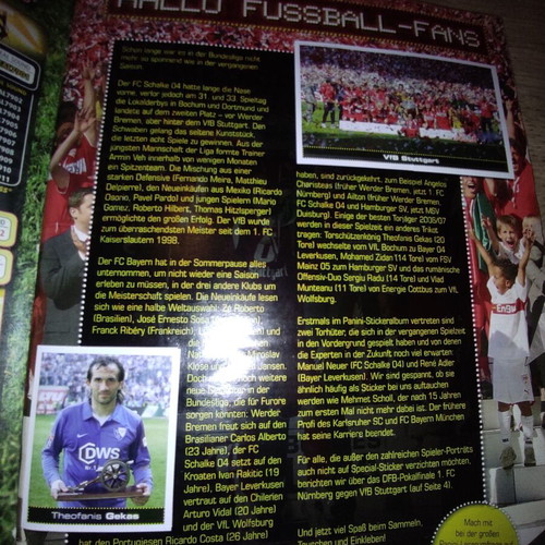 Panini album Bundesliga 2007-2008 used, completed