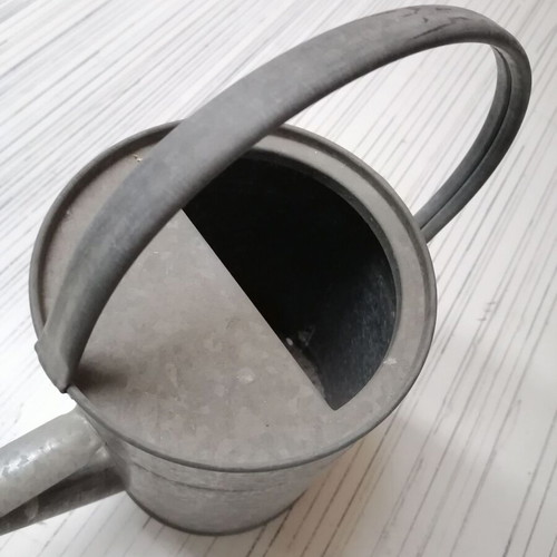 Watering cans used, 2 seasons, pack of 24