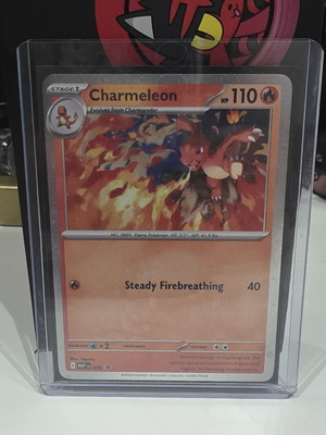 Charmeleon MEP 079 Pokemon Mega Evolution Chaos Rising Holo Promo new