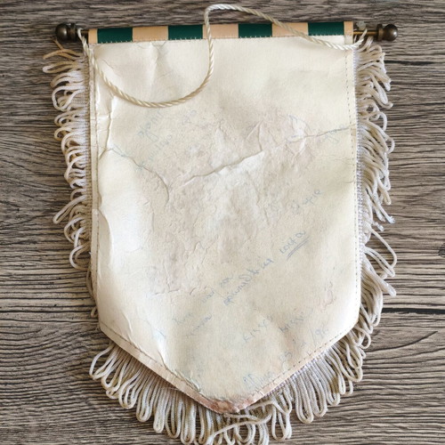 Panathinaikos FC Champions 1995 banner used