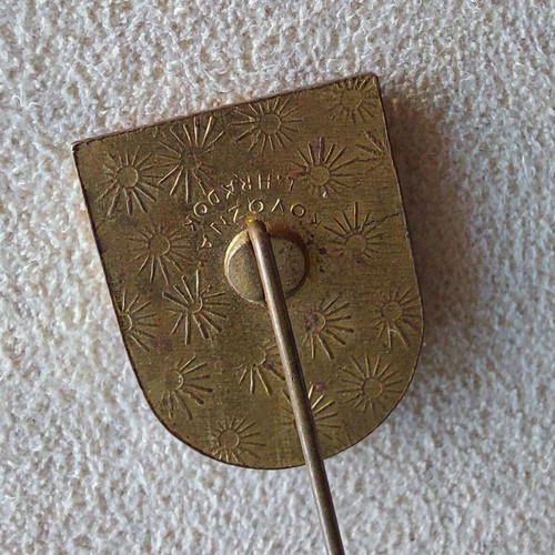 Rare antique pin Austro-Hungary