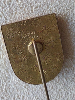Rare antique pin Austro-Hungary