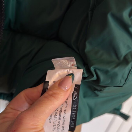 The North Face Nuptse 700 Women's Jacket L Emerald new with tag