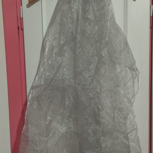 Carnival costume like new