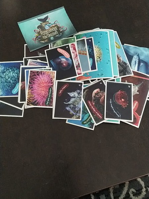 Stickers Explore the Ocean AB new, 44 pieces