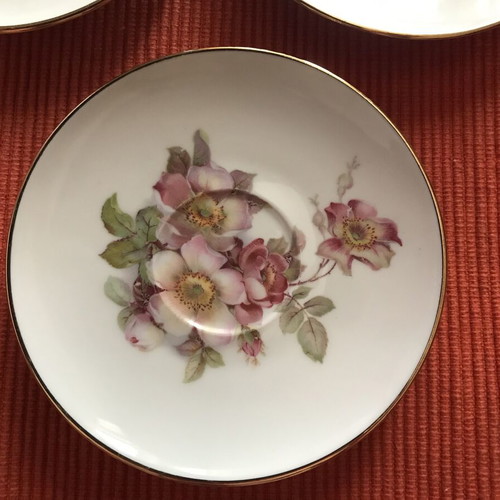 Schumann Arzberg dessert plates with wild roses and gold decoration, set of 5