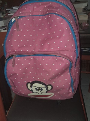 Paul Frank school trolley bag 50×30cm
