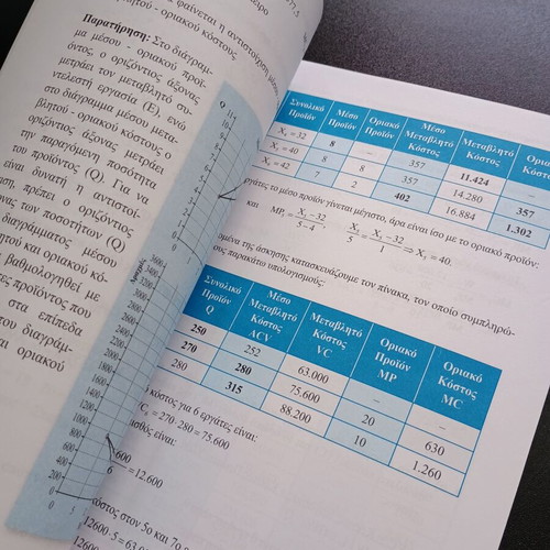 Principles of Economic Theory Exercise Solutions Book like new