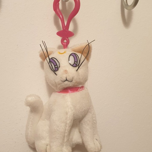 Sailor Moon Artemis Cat plush used