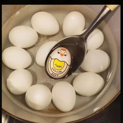 Egg Boiling Timer with Color Change Indicator