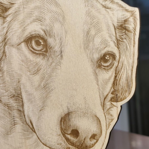 Personalized wooden pet portrait new, laser engraved