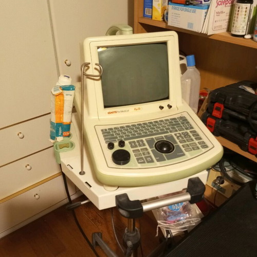 Esaote Pie Medical Aquila ultrasound used, for veterinary