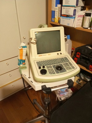 Esaote Pie Medical Aquila ultrasound used, for veterinary