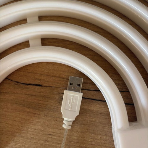LED Neon Wall Light Rainbow like new