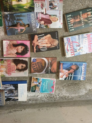 Dutch books like new, pack of 31 pieces
