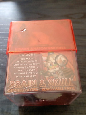 Educational game new
