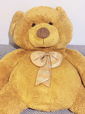 Teddy bear large size like new