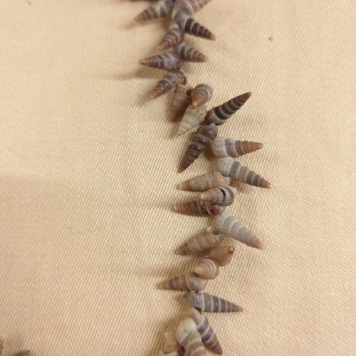 Necklace with brown shells, vintage