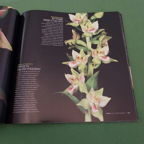Wild Flowers book new, Greek flora photography by Giorgos Avagianos