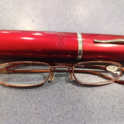 Reading glasses VisualCare metal bronze color with hard case