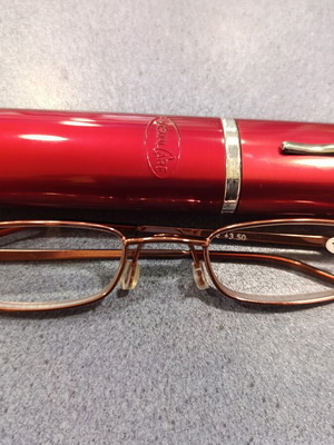 Reading glasses VisualCare metal bronze color with hard case