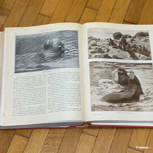 The Life of Animals used vintage hardcover volume with red cover from 1932