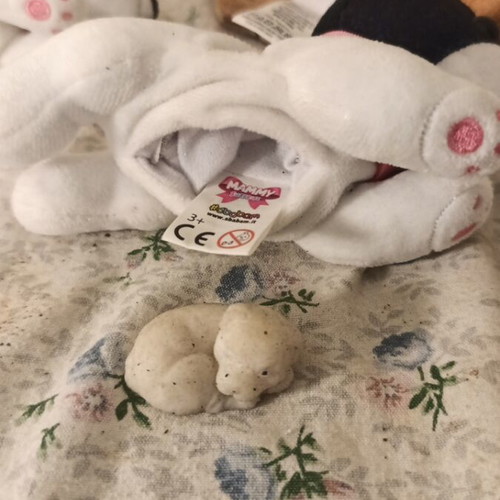 Mummy Surprise Shabam plush dog set like new